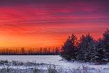 Winter Sunrise_32513